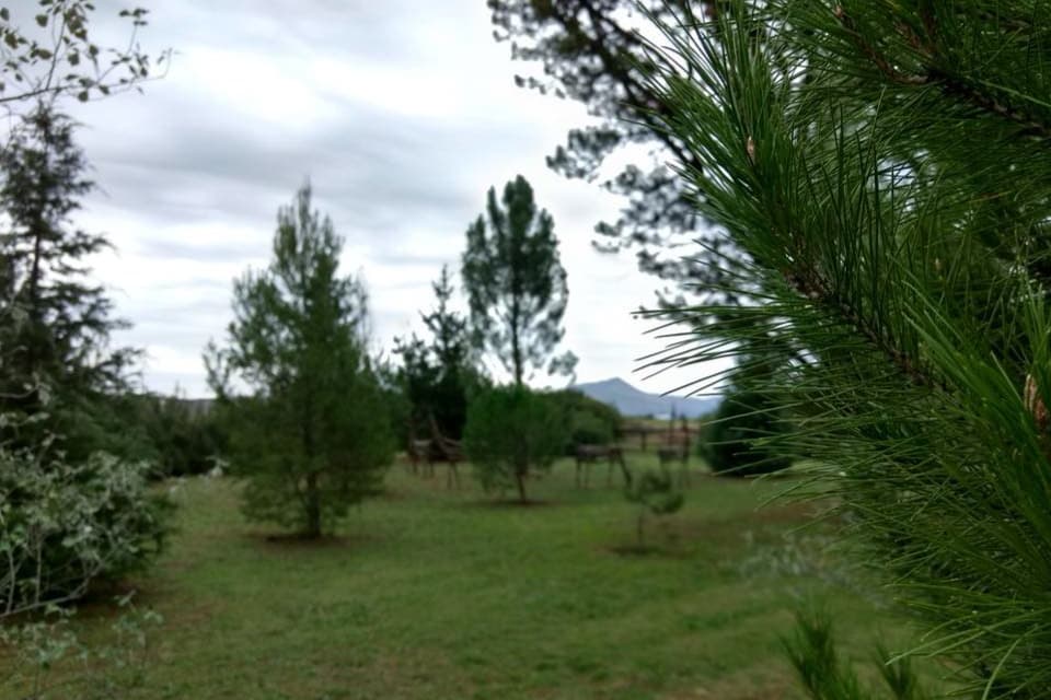 Naturaleza 3