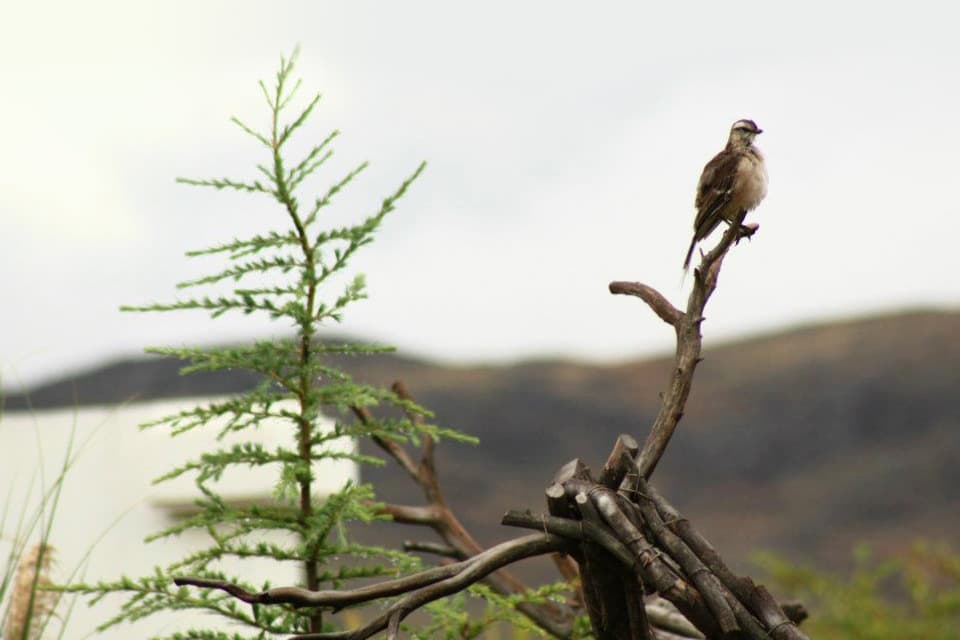 Naturaleza 4