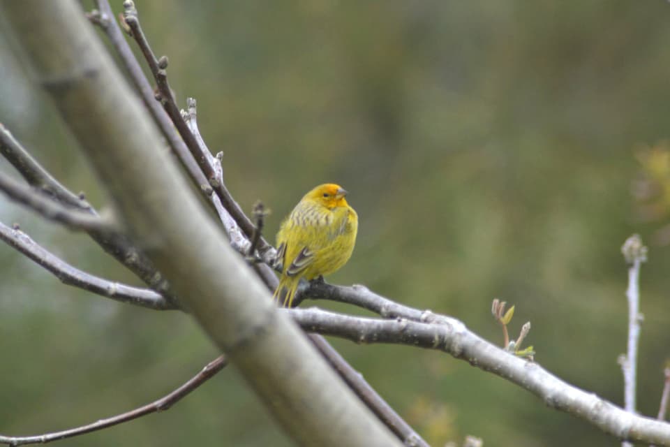 Naturaleza 5