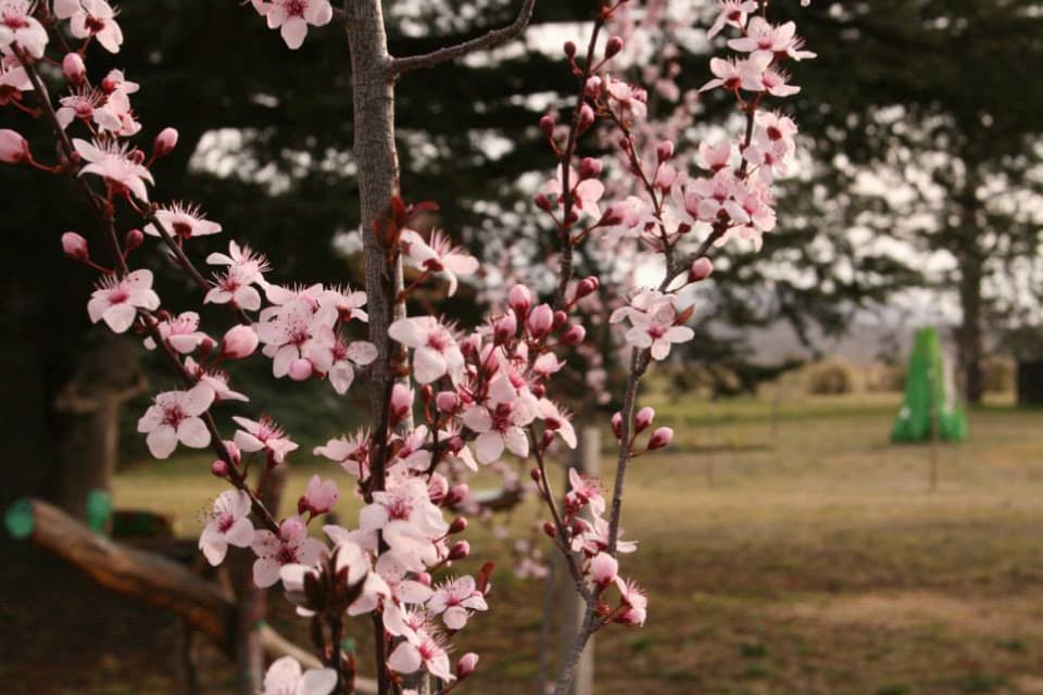 Naturaleza 6